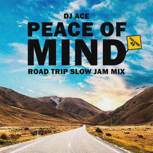 Amapiano Mix DJ Ace Peace of Mind Vol 49 (Road Trip Slow Jam Mix