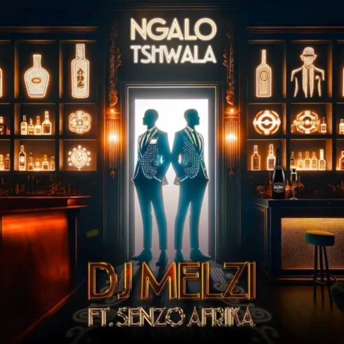 dj melzi ngalo tshwala feat senzo afrika mp3 download